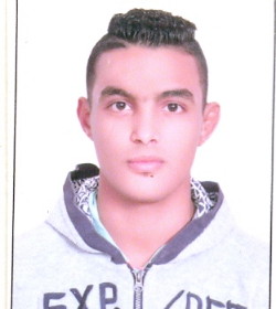 Gamal Abdelnasser Hanafy Mohamed