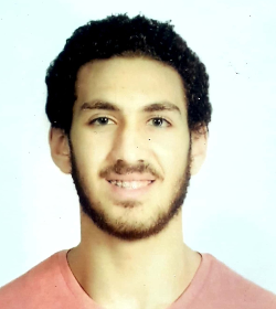 Yasser Mohammed Saifeldeen Abdelwahed